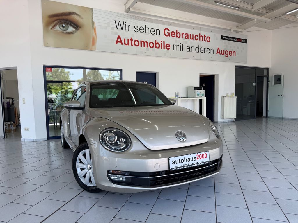 Bild des Angebotes Volkswagen Beetle Lim. Cup *Pano*Navi*PDC*