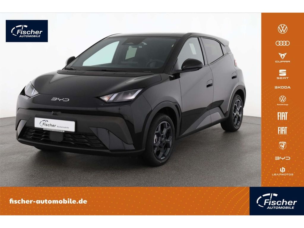 Bild des Angebotes BYD Dolphin Surf Comfort