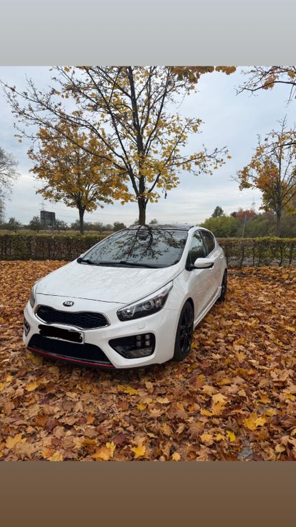 Bild des Angebotes Kia cee'd / Ceed 1.6 T-GDI GT-Track GT-Track