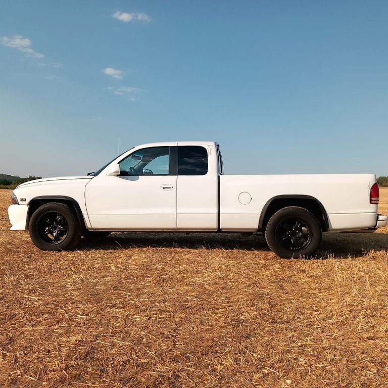 Bild des Angebotes Dodge Dakota