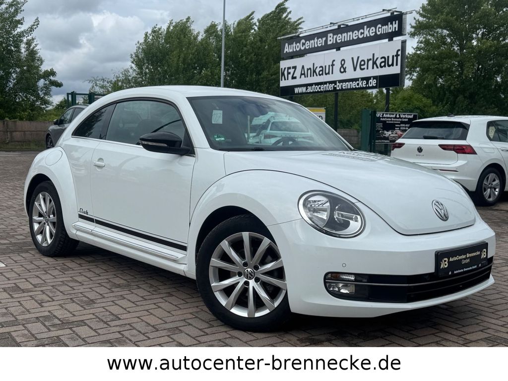 Bild des Angebotes Volkswagen Beetle Club BMT*Allwetter*PDC*Soundsystem*