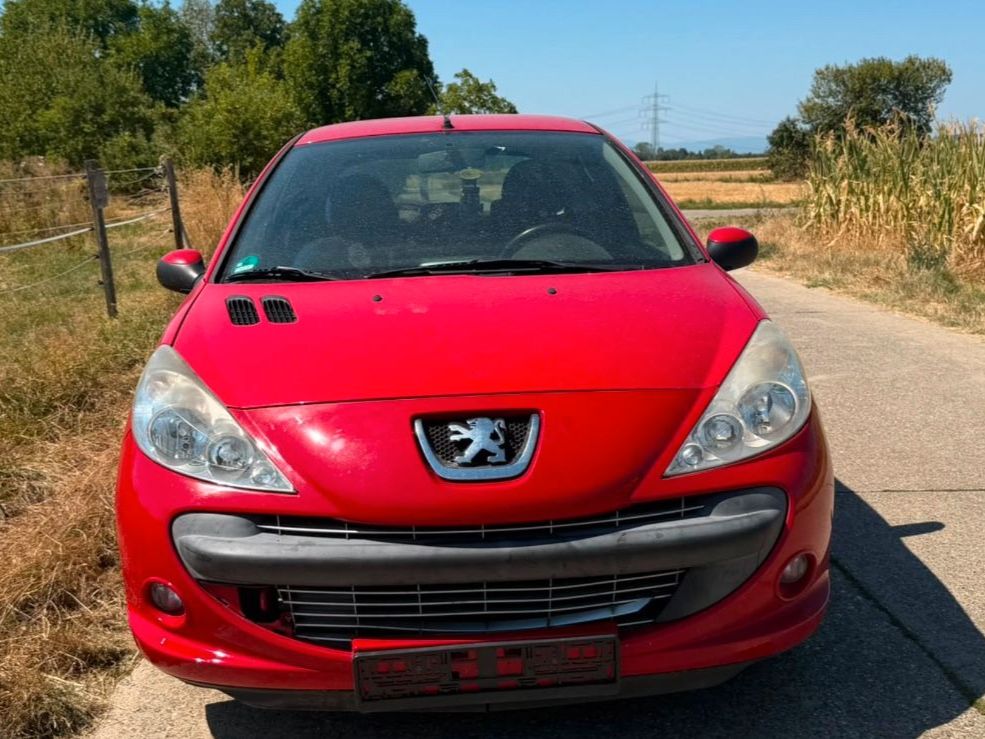 Bild des Angebotes Peugeot 206 +