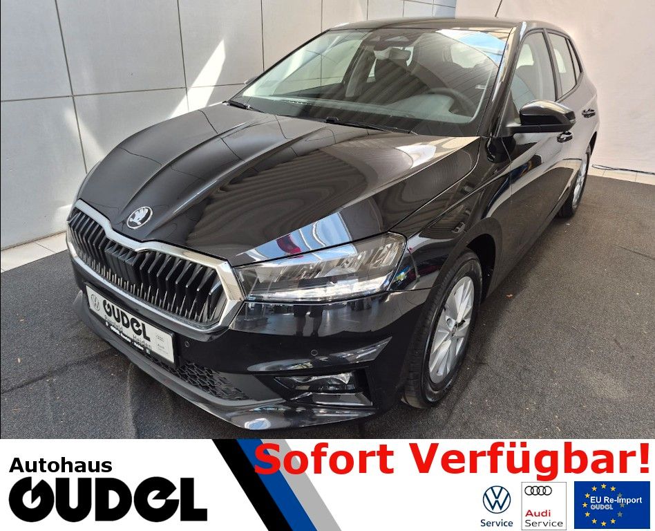 Skoda Fabia Selection 1.0 TSI LED GRA SmartLink 15"LM