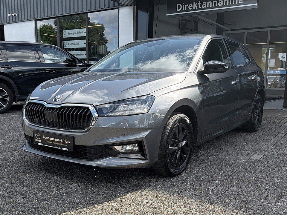 Bild des Angebotes Skoda Fabia Young Edition 1.0 TSI