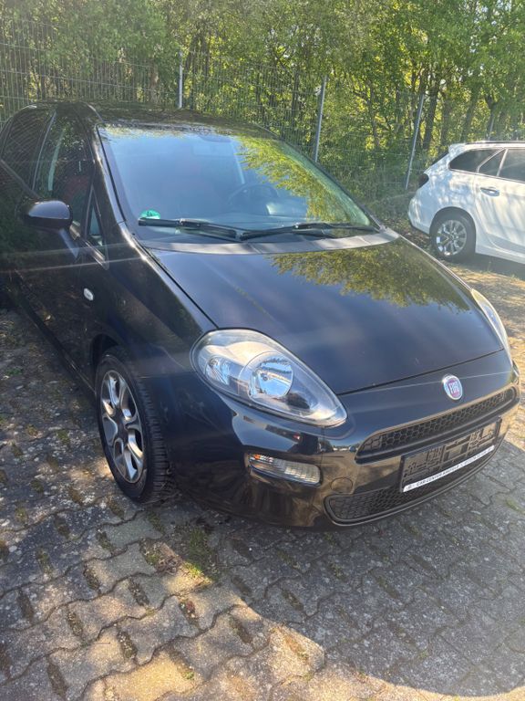 Bild des Angebotes Fiat Punto Evo