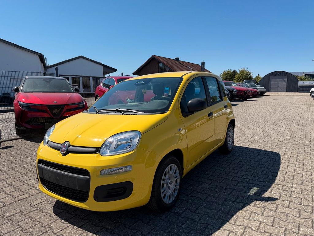Fiat Panda Pandina ICON #DAB #PDC