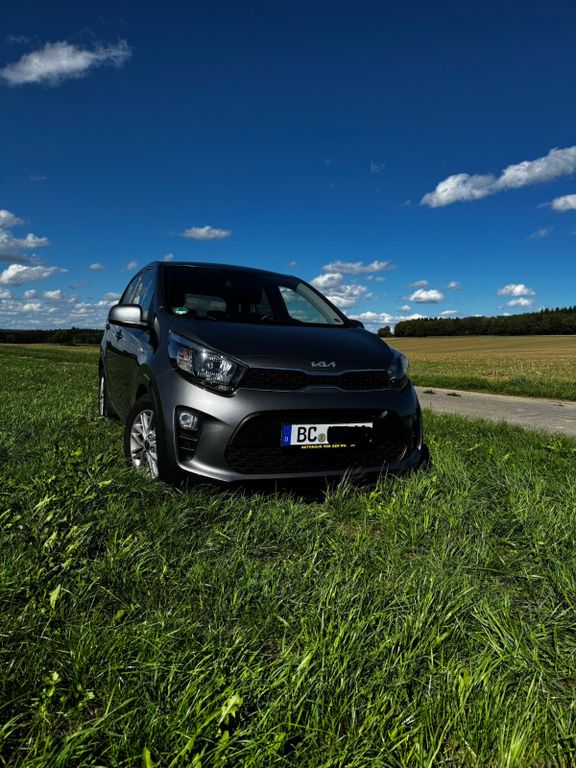 Bild des Angebotes Kia Picanto 1.2 Vision Vision