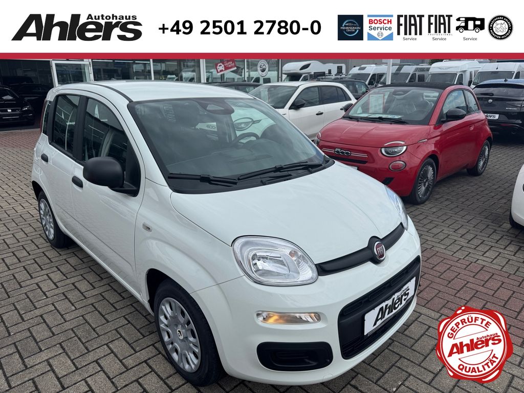 Bild des Angebotes Fiat Pandina Icon+5SITZER+KLIMA+BLUETOOTH+EINPARKHILF