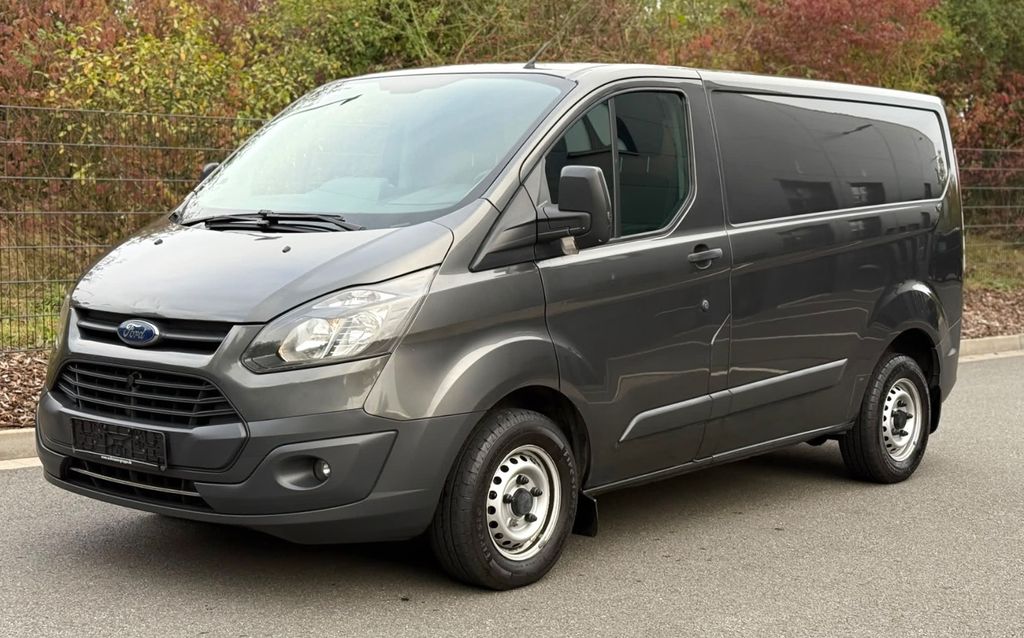 Ford Tourneo Custom / guter Zustand