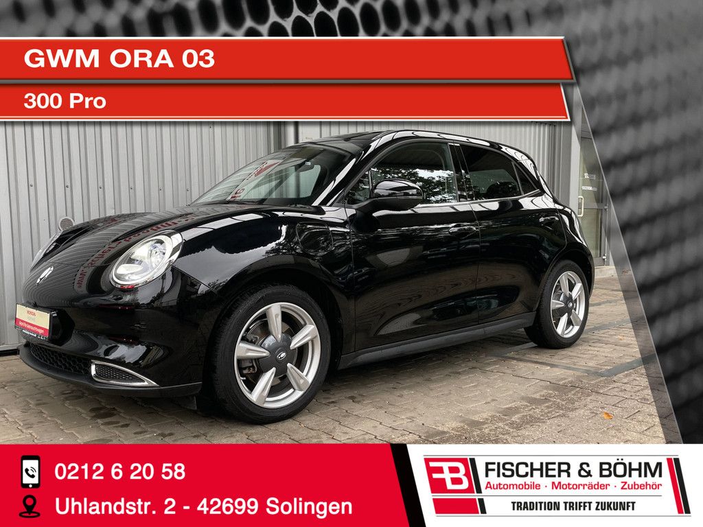 Bild des Angebotes GWM ORA 03 300 Pro
