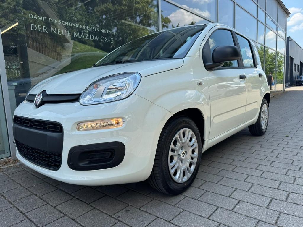 Bild des Angebotes Fiat Pandina Hybrid Icon Klima PDC DAB Bluetooth...