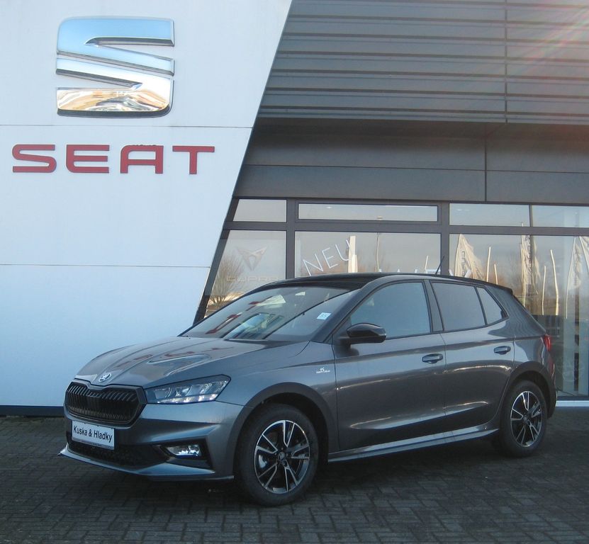 Bild des Angebotes Skoda Fabia 1.0TSI Monte Carlo DSG/LED/SHZ/PDC/RFK