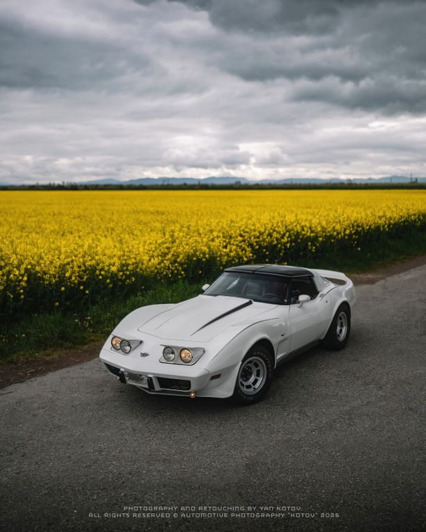 Bild des Angebotes Corvette C3 Targa