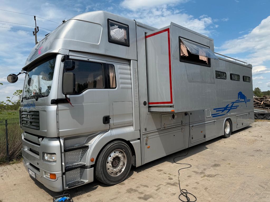 Bild des Angebotes Andere Man Tga Horse