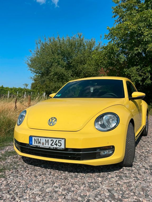 Bild des Angebotes Volkswagen Käfer