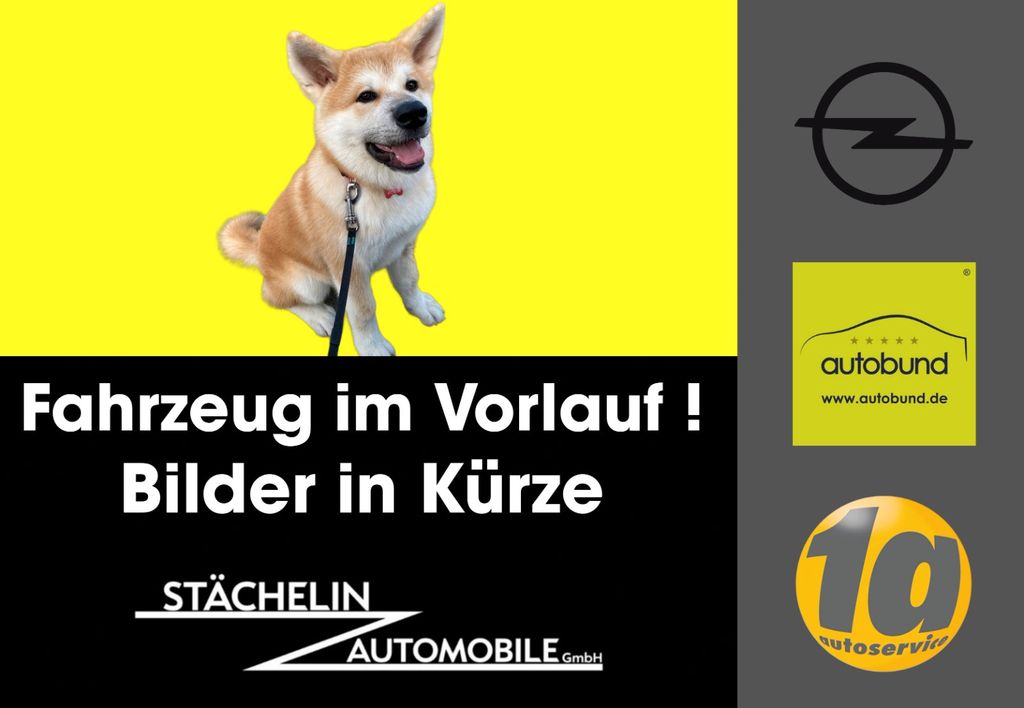 Opel Astra J GTC OPC,RECARO,XENON,PDC,19"