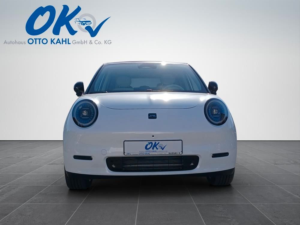 Bild des Angebotes JAC E30X Nordic Edition 50