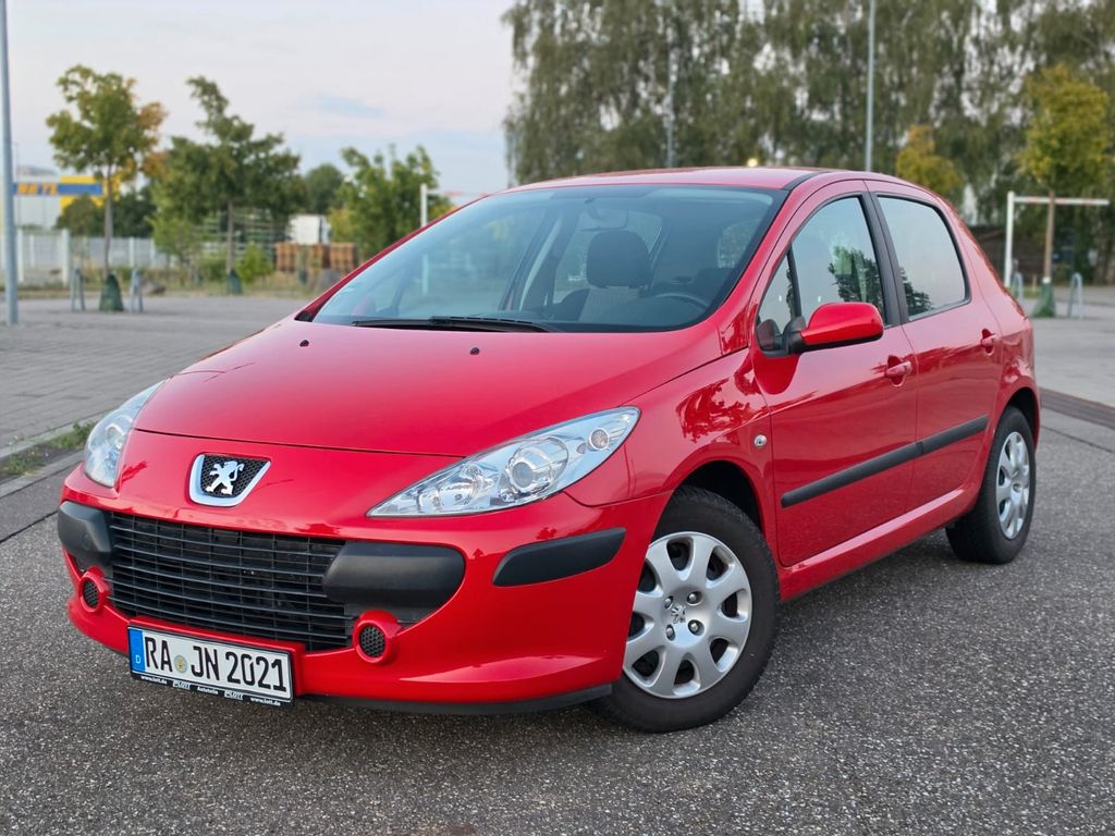 Bild des Angebotes Peugeot 307 Grand Filou Cool