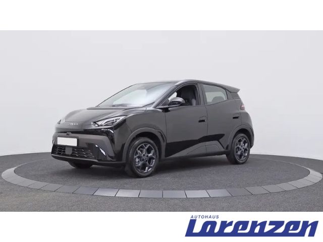 Bild des Angebotes BYD Dolphin Surf 65 kW Boost Navi+Digitales Cockpit+
