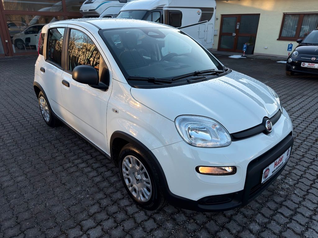 Bild des Angebotes Fiat Panda MY24 Panda Hybrid + City-Paket