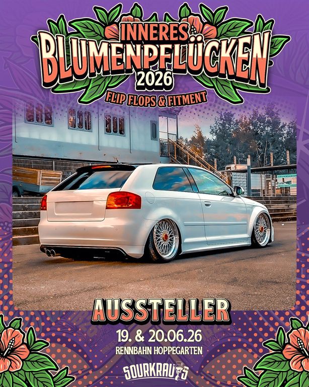 Bild des Angebotes Audi S3/RS3 Airride