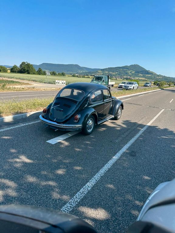 Bild des Angebotes Volkswagen Käfer