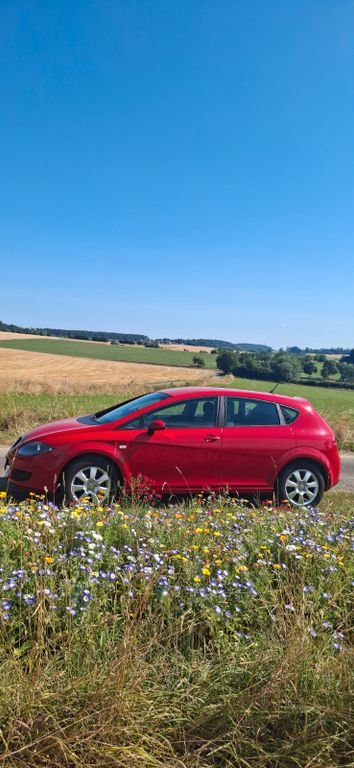 Bild des Angebotes Seat Leon 1.9 TDI Stylance