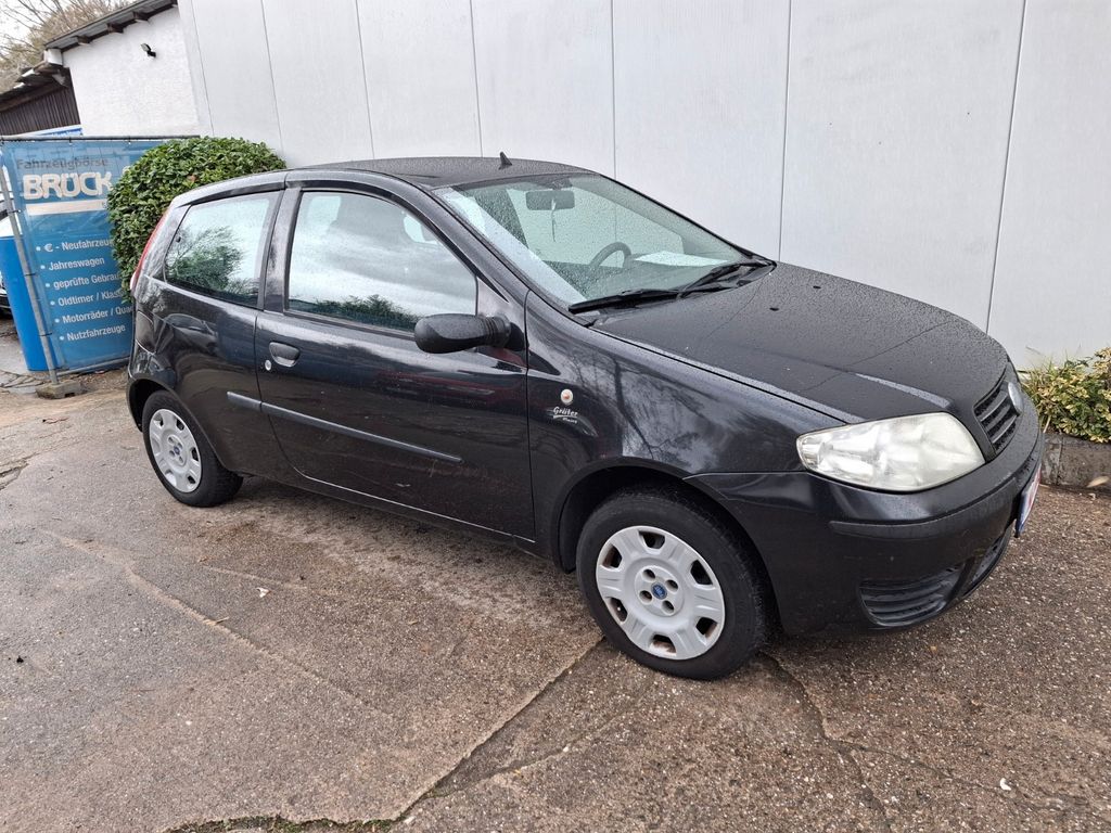 Bild des Angebotes Fiat Punto 1.2 8V Active Clima Tüv + Inspektion neu
