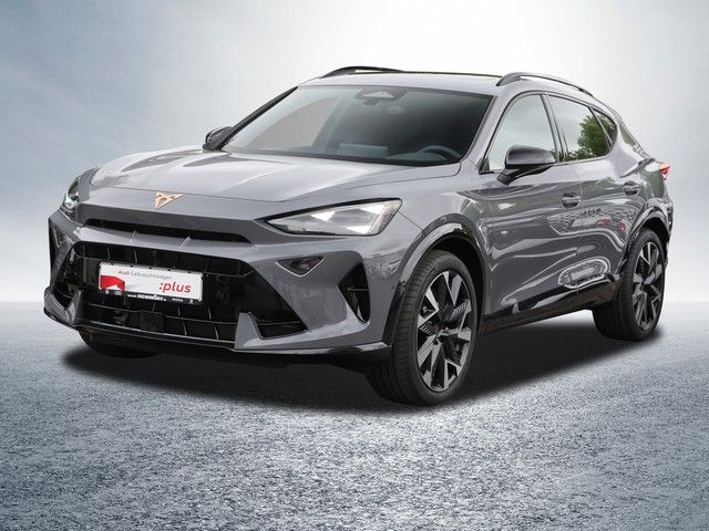 Cupra Formentor 2.0 TSI 4 Drive VZ AHK Pano Navi Sennh