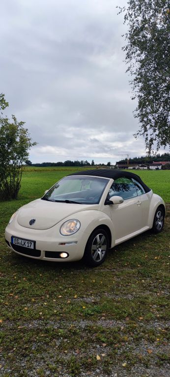 Bild des Angebotes Volkswagen Beetle