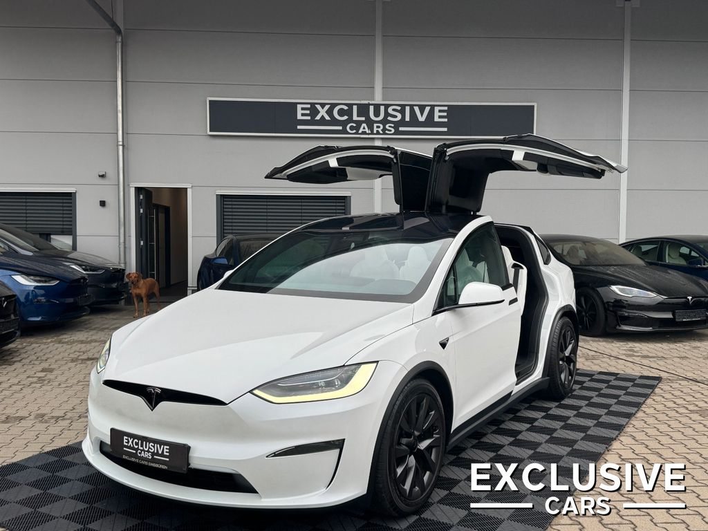 Tesla MODEL X PALLADIUM |  KI HARDWARE 4 | WHITE SEATS