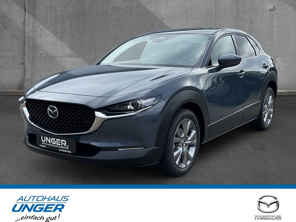 Bild des Angebotes Mazda CX-30 2.5 GS Exclusive-Line Matrix Bose 360 HUD