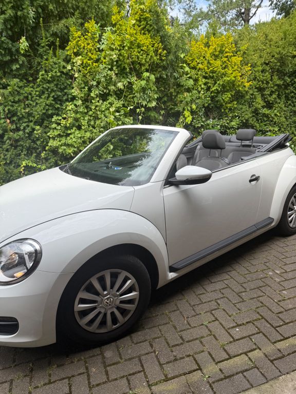 Bild des Angebotes Volkswagen New Beetle