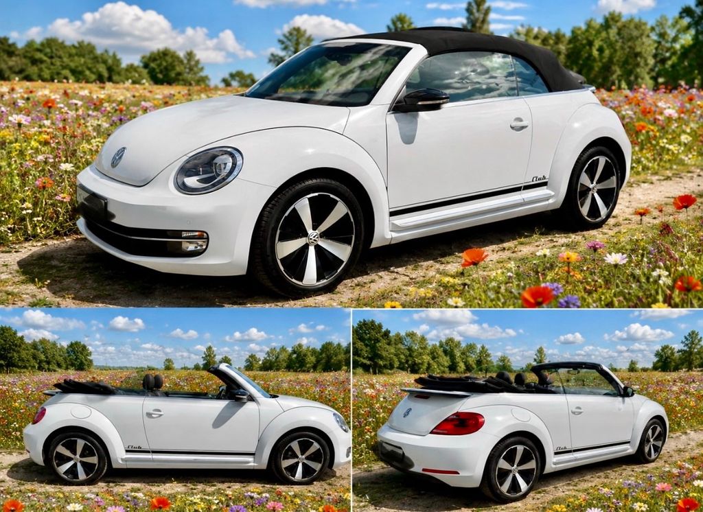 Bild des Angebotes Volkswagen Beetle 1.2 TSI BMT CLUB Cabriolet CLUB