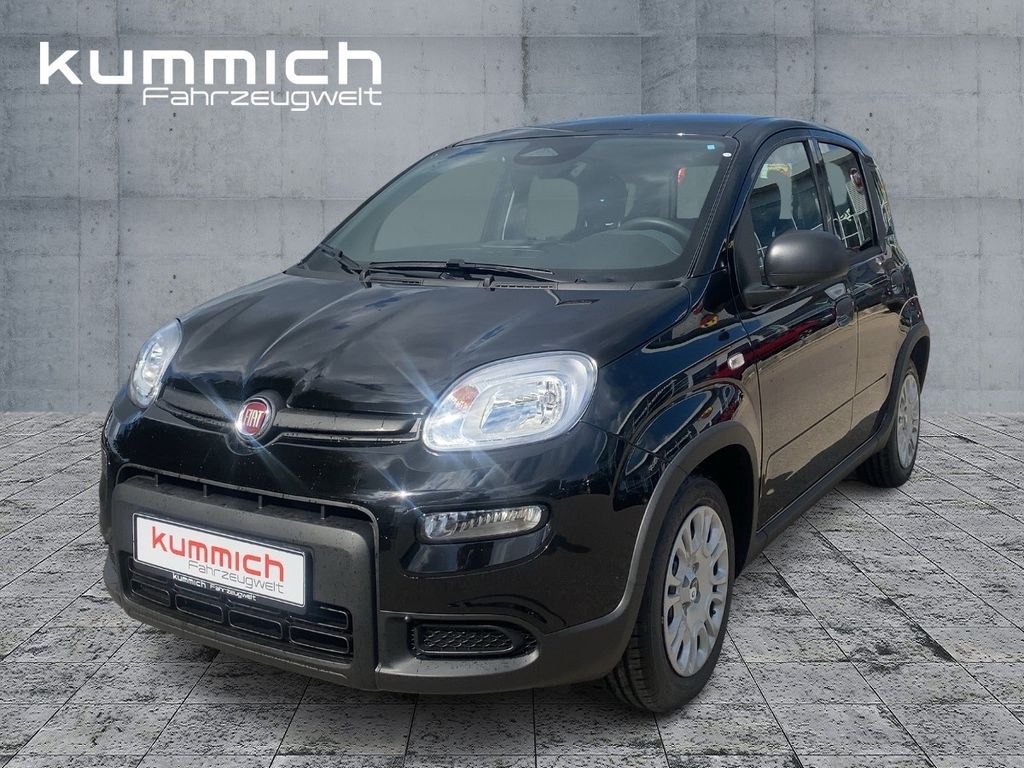 Bild des Angebotes Fiat Panda Hybrid 1.0l 70PS