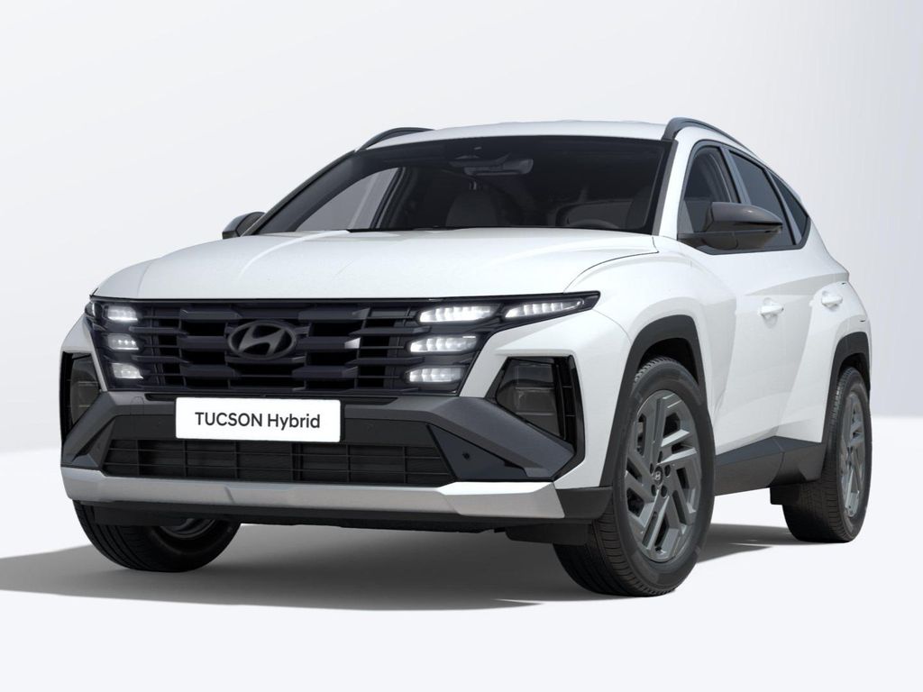 Hyundai Black Line 4WD 19" Teilleder Sitzheizung hinten