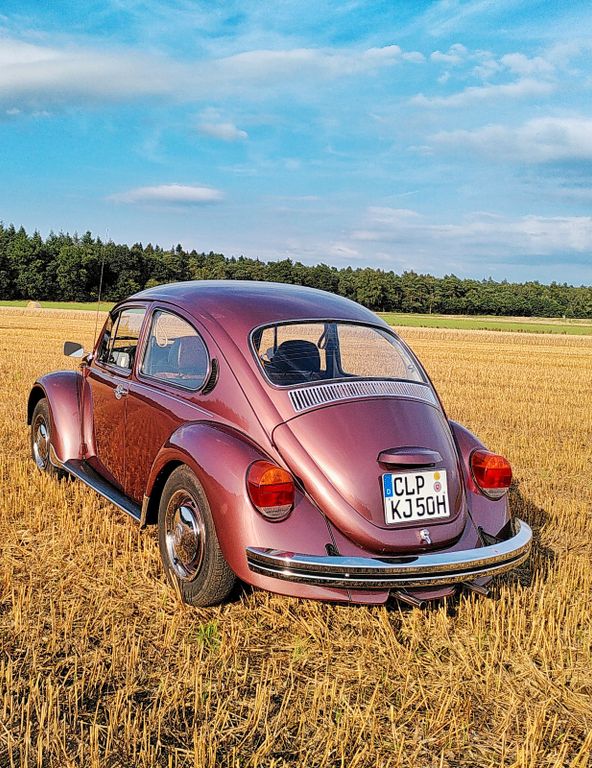 Bild des Angebotes Volkswagen Käfer Aubergine