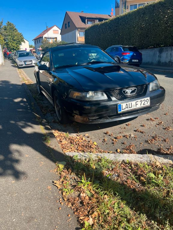 Ford Mustang GT Shelby V8