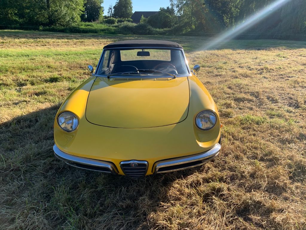 Bild des Angebotes Alfa Romeo Spider Duetto