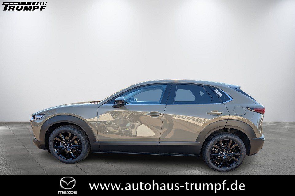 Bild des Angebotes Mazda CX-30 2.5L G 140PS 6MT FWD Homura