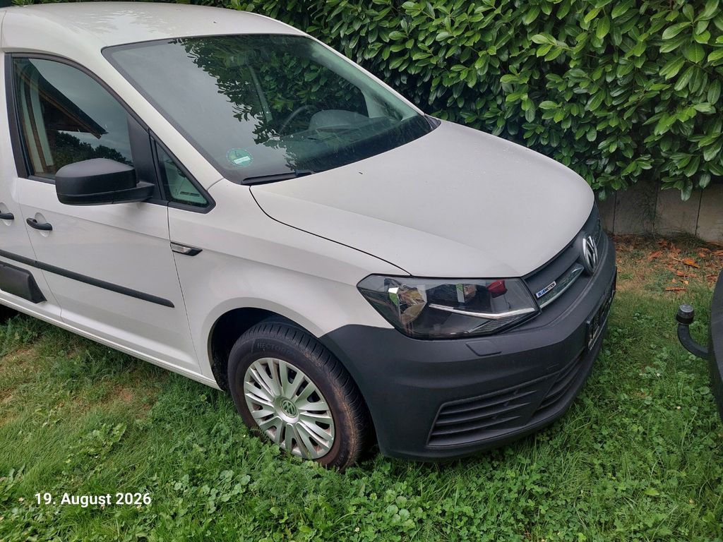 Bild des Angebotes Volkswagen Caddy Maxi