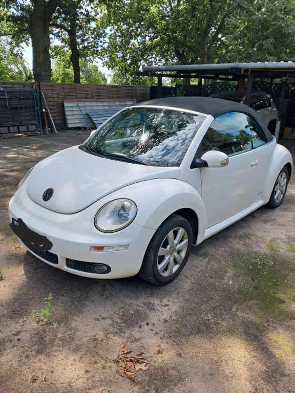Bild des Angebotes Volkswagen Beetle