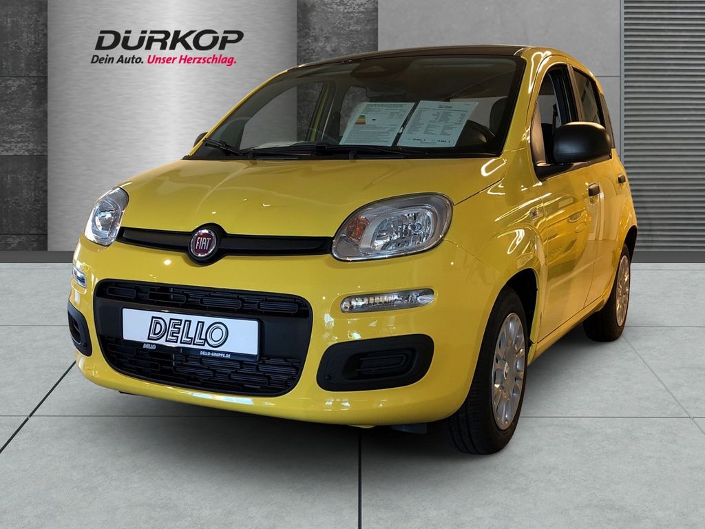 Bild des Angebotes Fiat Pandina Icon Hybrid Dach schwarz Parkpilot Tempo