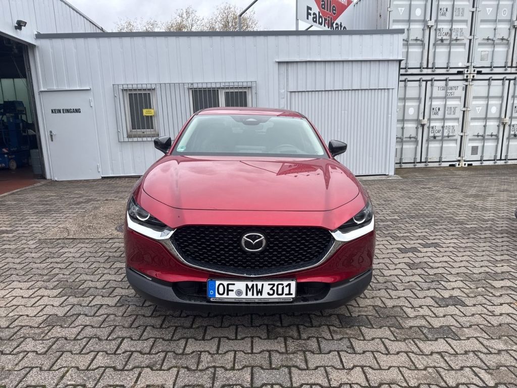Bild des Angebotes Mazda CX-30 5WGN 2.5L e-SKYACTIV G 140ps 6MT FWD Homur
