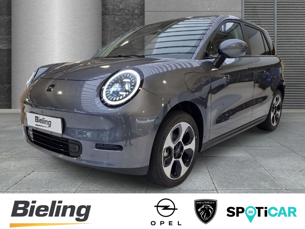 Bild des Angebotes JAC X-Series E30X Pure 40, 3-Phasig 11KW, Sitzheizun