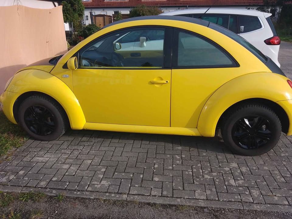 Bild des Angebotes Volkswagen New Beetle 1.4 Style Style