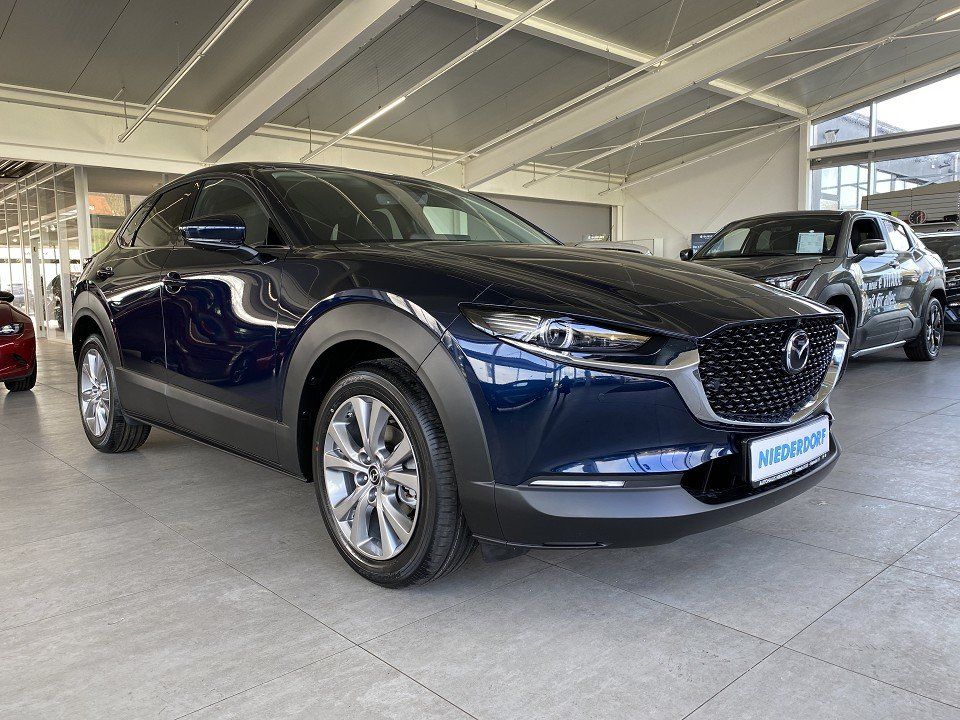 Bild des Angebotes Mazda CX-30 2.5 Exclusive AUTOMATIK Matrix, 360°, Bose