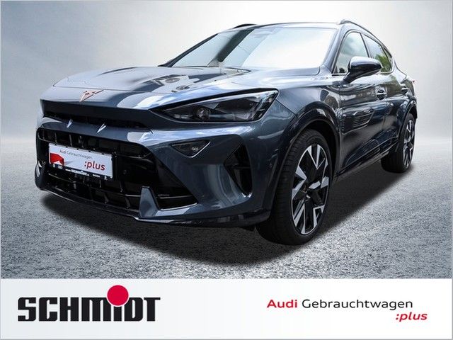Cupra Formentor 2.0 TSI 4 Drive VZ AHK Pano Navi LM19