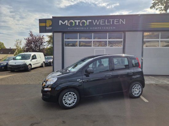 Bild des Angebotes Fiat Pandina 1.0 Mild Hybrid Icon 1.0 Mild Hybrid EU6
