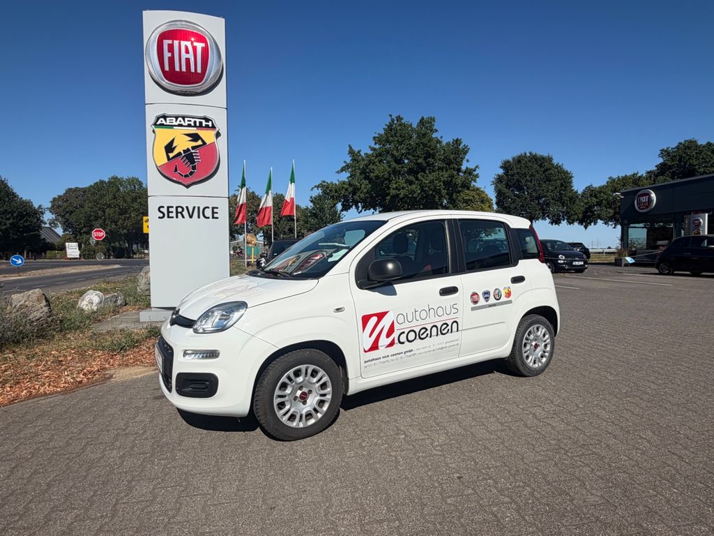 Bild des Angebotes Fiat Panda Easy PDC*Klima*EL FH*Scheckheftgepfl.
